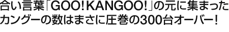 合い言葉「GOO!KANGOO!」の元に集まったカングーの数はまさに圧巻の300台オーバー！